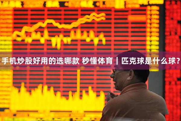 手机炒股好用的选哪款 秒懂体育｜匹克球是什么球？