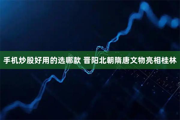 手机炒股好用的选哪款 晋阳北朝隋唐文物亮相桂林