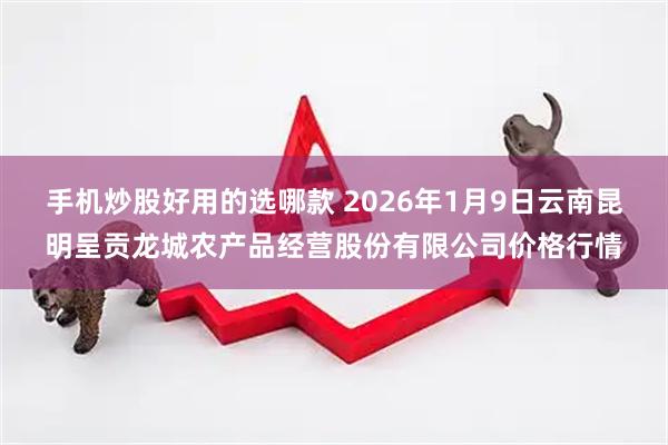 手机炒股好用的选哪款 2026年1月9日云南昆明呈贡龙城农产品经营股份有限公司价格行情